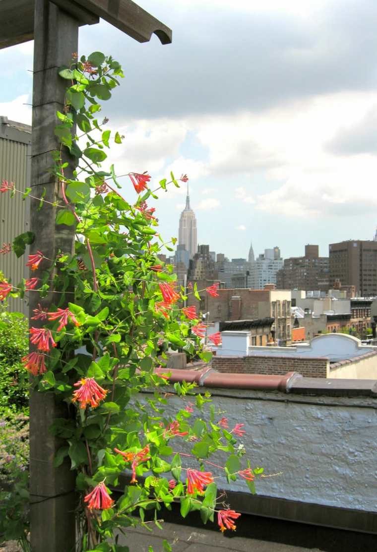 teraszok tetőkert deco növények pergolák