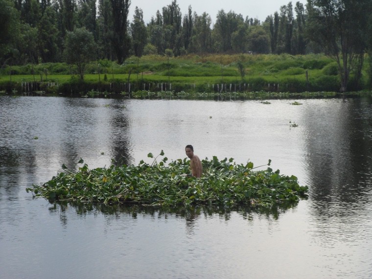 un giardino galleggiante in Messico