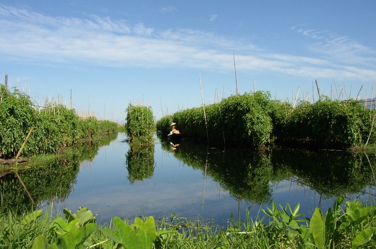 Lago Inle in Myanmar