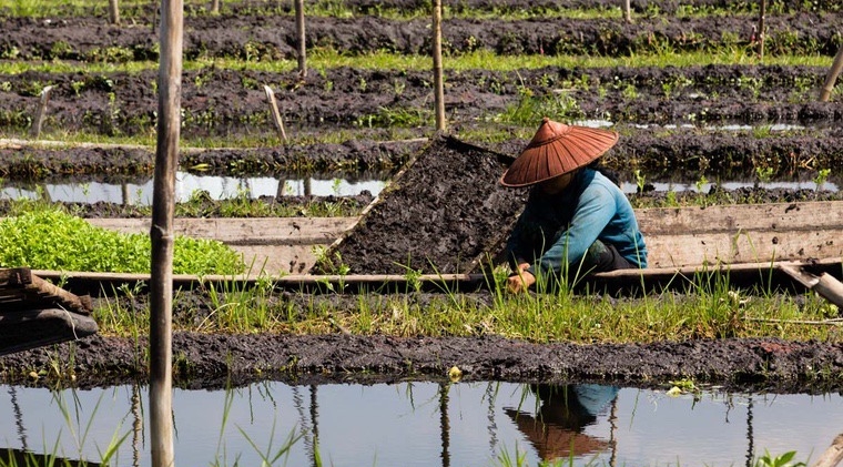 nő a mianmari Inle -tónál