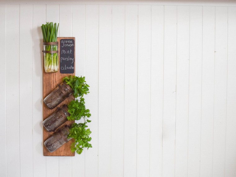 virtuvės sodo sienos idėja porai šviežių aromatinių žolelių