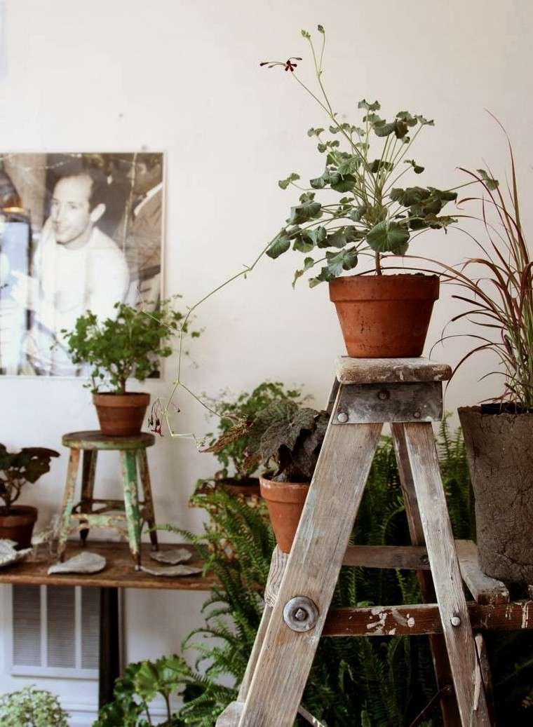 vaso in terracotta idea composizione parete giardino originale fai da te