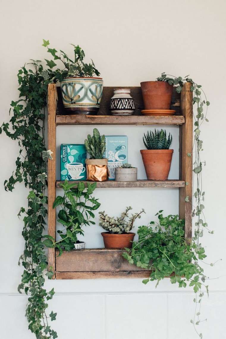 idea parete giardino interno vaso in terracotta originale riordinare lo spazio