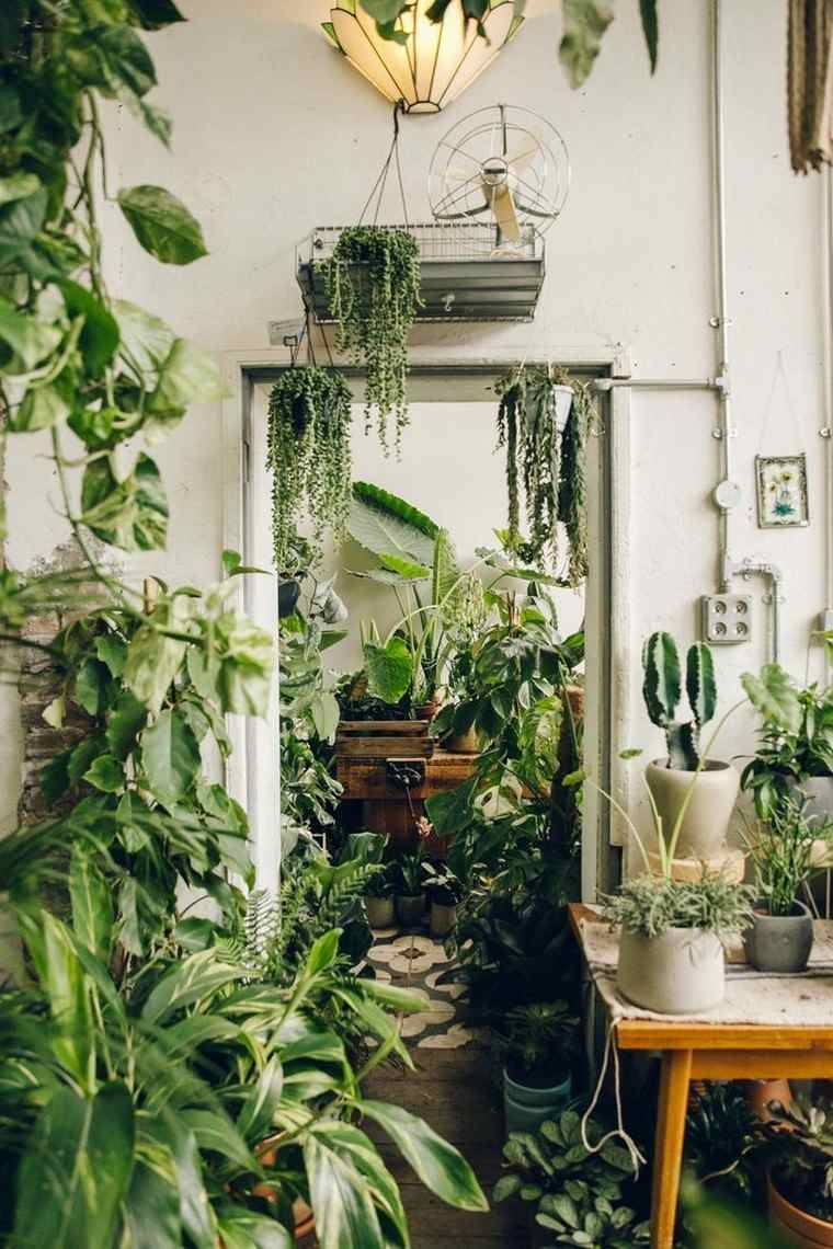 piante idea interni vaso per piante appeso stanza deco alla moda