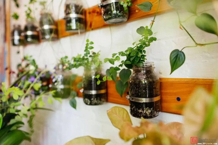 vasi di vetro idea parete del giardino piante da cucina piante da interno appartamento originale