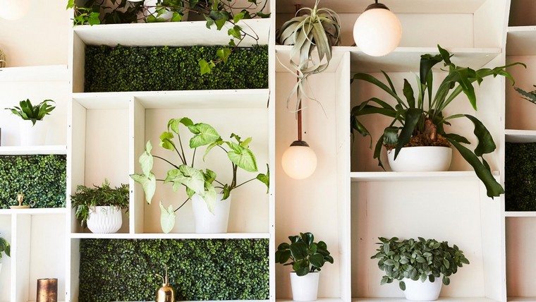zöld növények belső ötlet tároló hely deco növények