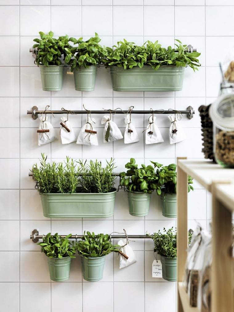 Cucina piante verdi erbe aromatiche idea wall garden