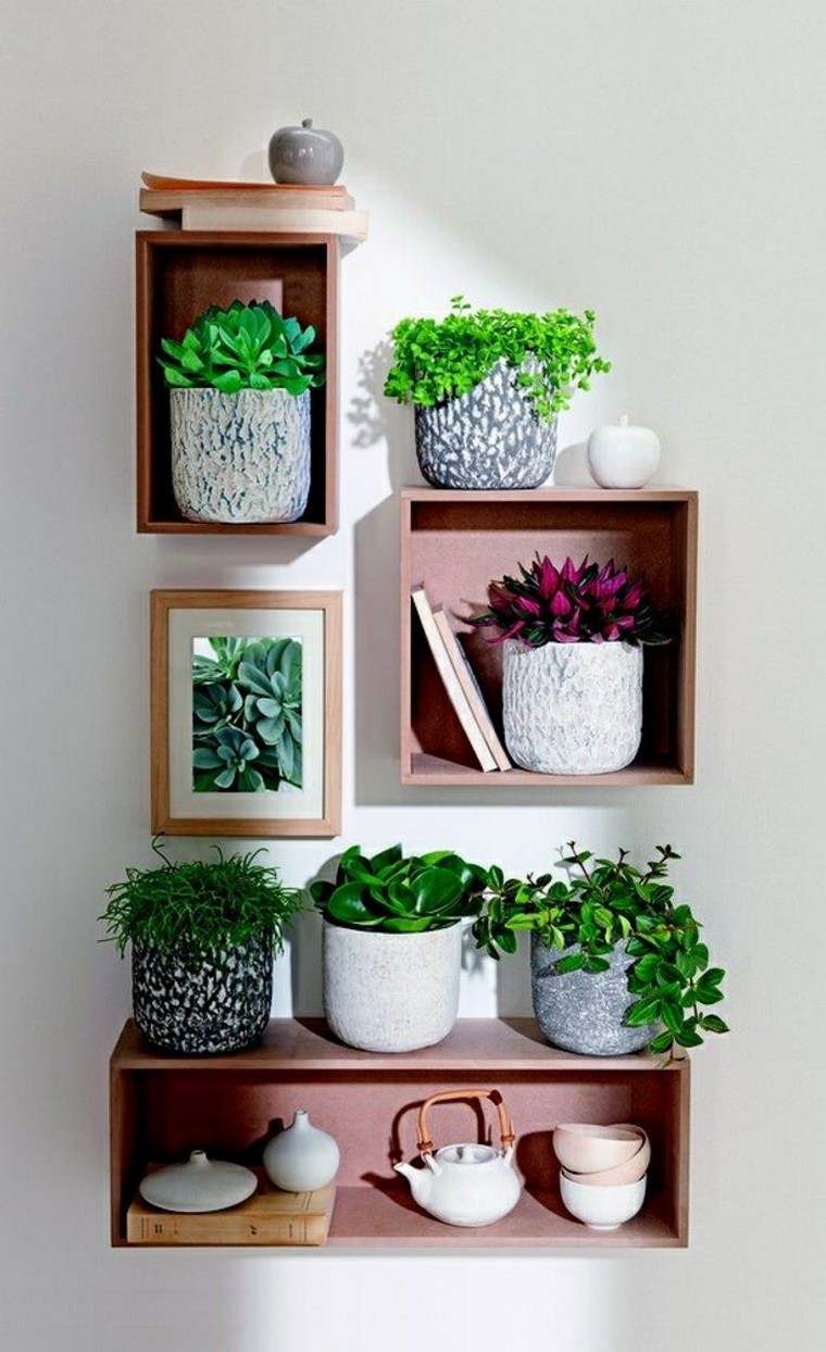 idee giardino interno decorare piante piante originali in vaso fai da te