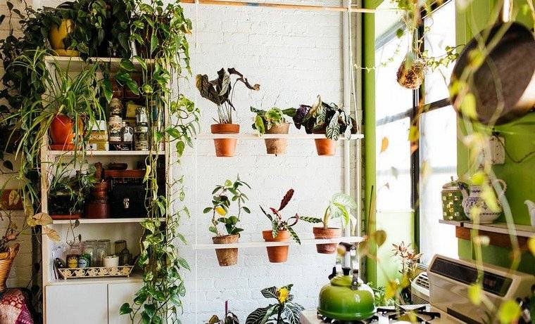 giardino verticale vasi da fiori idea mensole giardino interno muro
