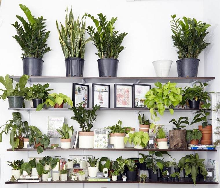 Idea per la conservazione delle piante giardini verticali piante da interno vasi idee decorare lo spazio
