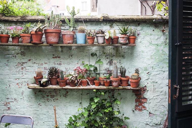 lonci biljke okomiti vrtovi vanjština moderna ideja lonci biljke keramika