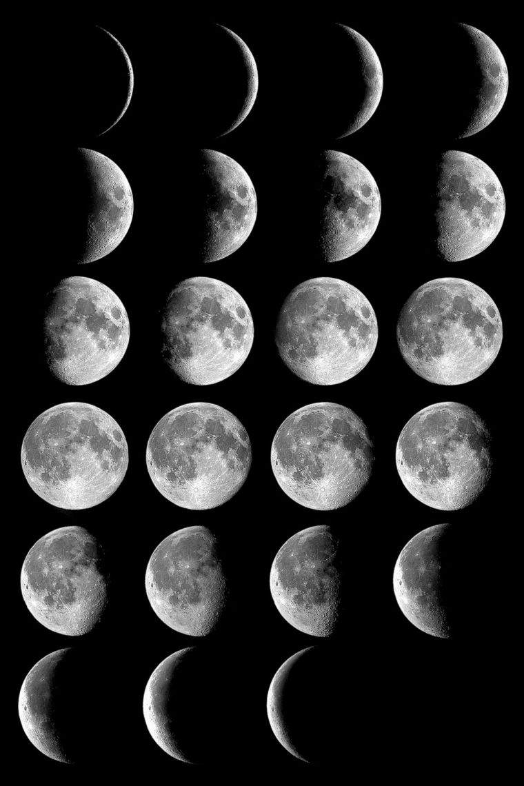 月の満ち欠け-太陰暦-ガーデニング