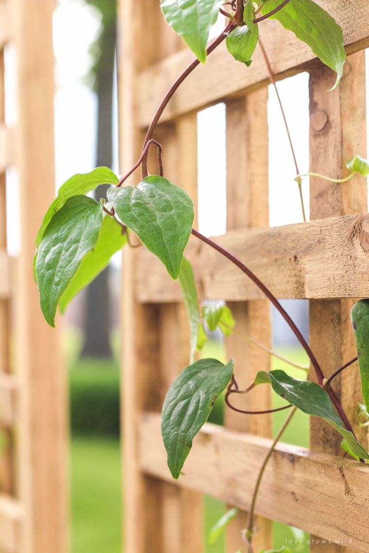 modello-traliccio-legno-giardiniere-balcone-economico
