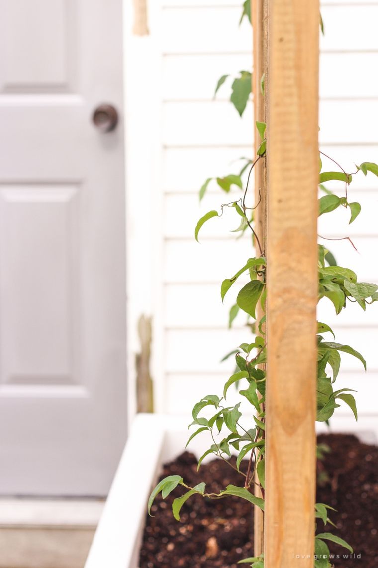 come-fare-un-giardino-decorazione-terrazza-economico