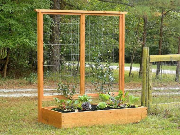 jardiniere-traliccio-di-legno-pianta-rampicante
