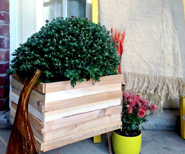DIY fa ültetvény ötlet egyszerű bemutató, hogy magad ültetvény