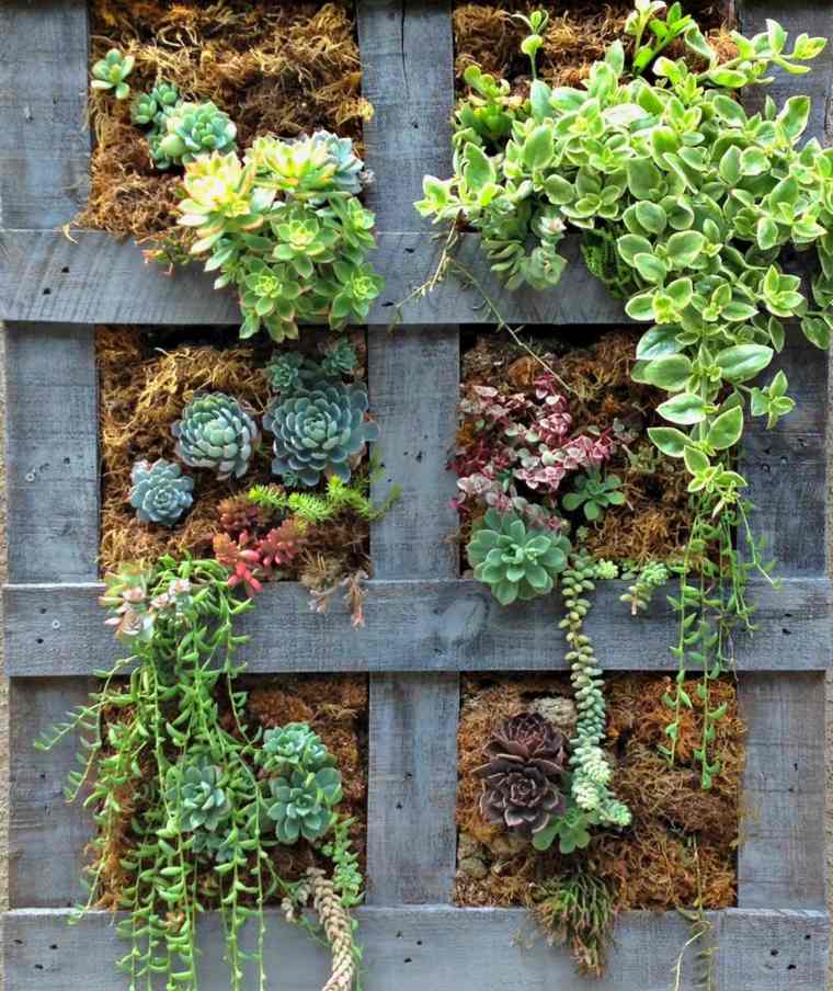 fare un giardino verticale pallet jardiniere vaso di legno fai da te