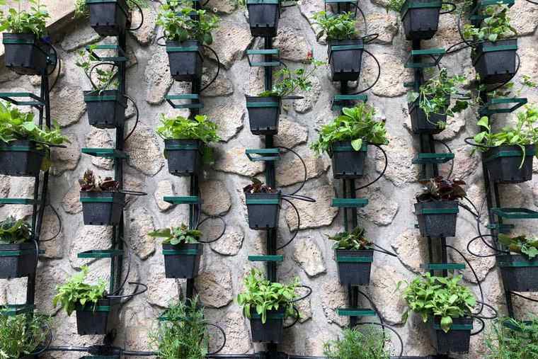 giardino verticale maggiore diversità