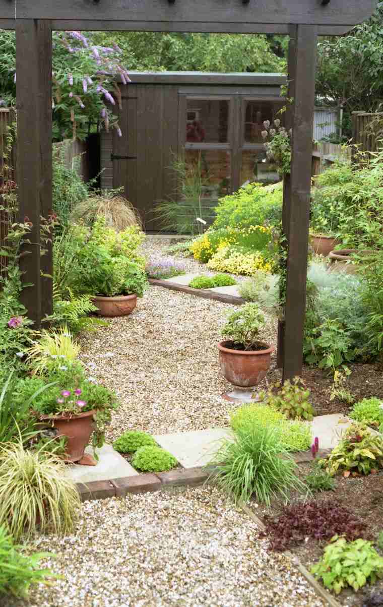 verde in vaso cortile interno