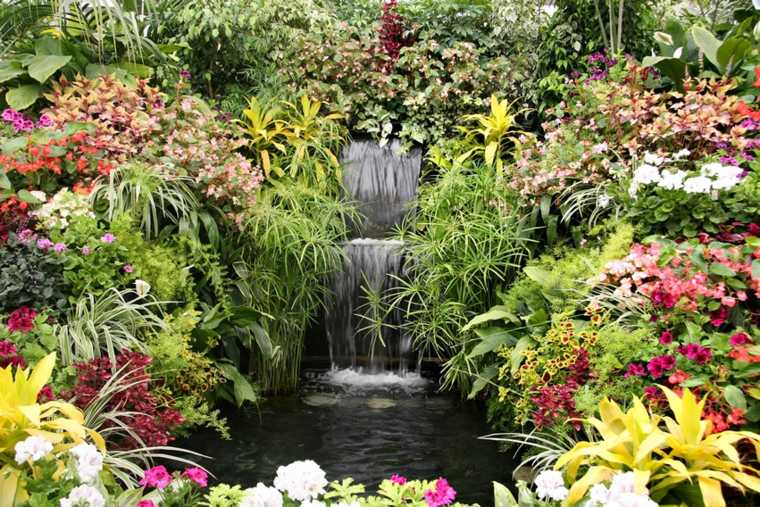 Vízi kertek vízesés kerti növények