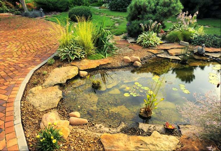 víz kertek medence kő ötlet dekoratív növények