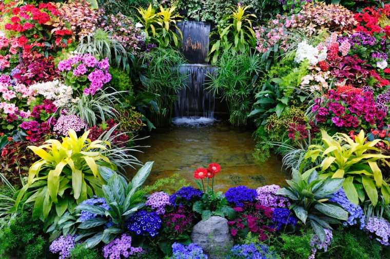 Vízi kertek vízmedence ötlet szabadtéri kert dekoratív növények