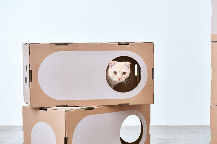 gioco-per-gatto-design