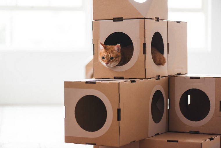 idee per la casa del gatto del gioco del gatto di cartone