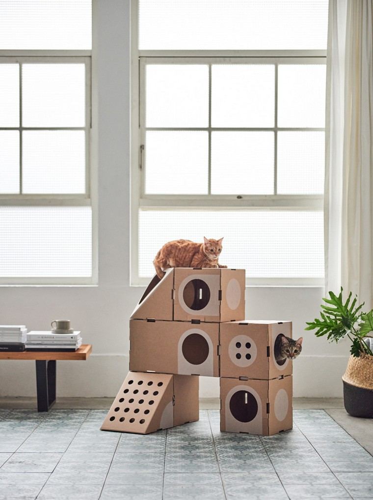 gatto-giochi-indoor-cat-house