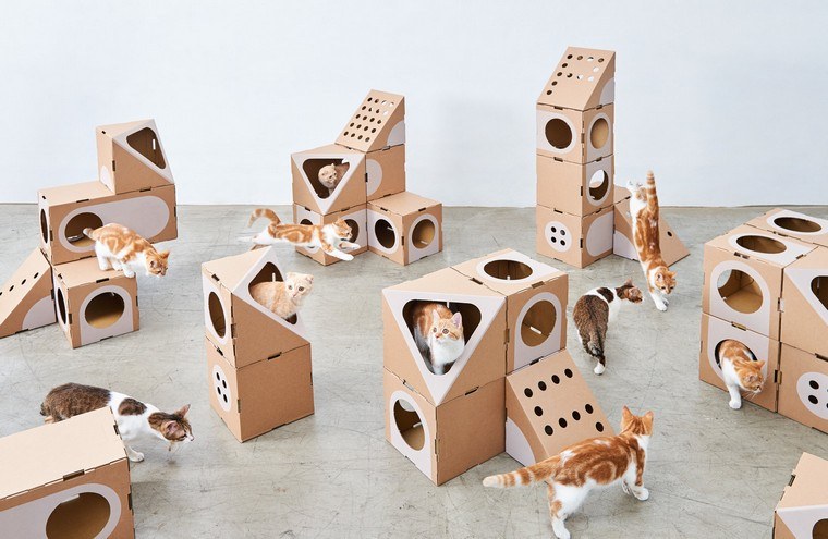 idee per la casa del gatto del gioco del gatto di cartone