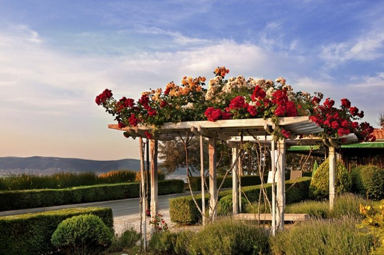 šiuolaikinis lauko pergola deco dizainas