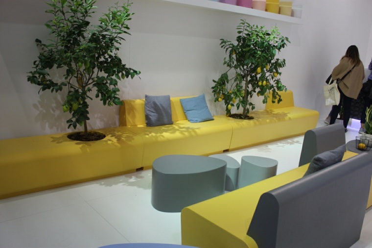 dizaino baldai su integruotais kambariniais žaliais augalais