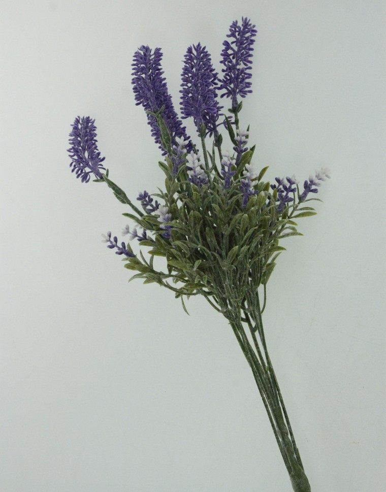 lavanda-cvijet-ideja-suhi cvijet