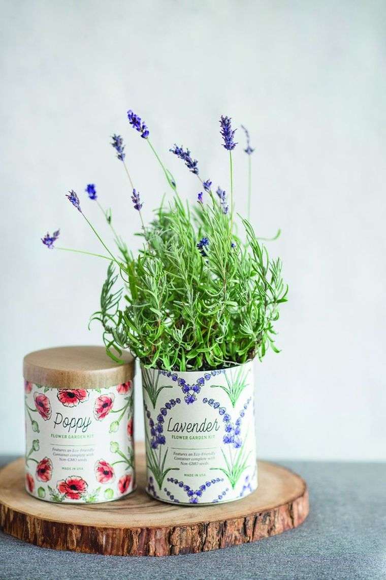 come-piantare-la-lavanda-nel-tuo-giardino