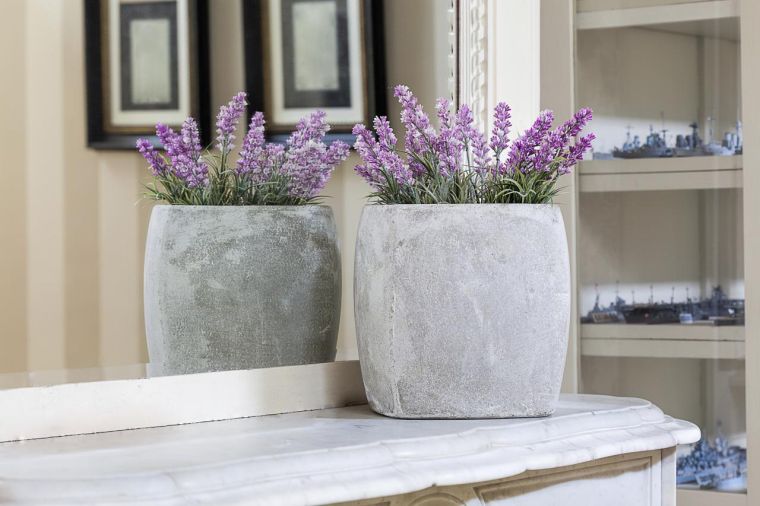 lavanda in vaso per la cura dell'interno-esterno