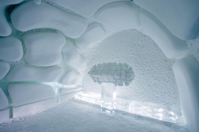 ice-art-suede-hotel-jukkasjarvi-ice-hotel