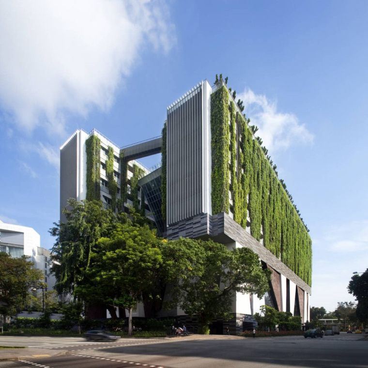 緑のファサード-外壁-植物-建物-モダン-建築