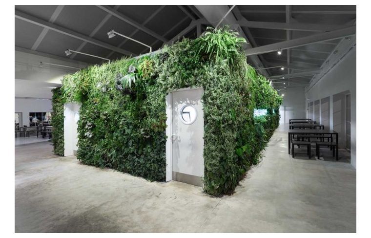 緑の壁-インテリア-垂直-庭-植物-オフィス-垂直-庭-デザイン