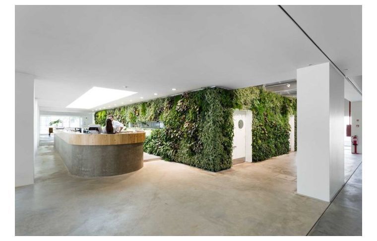 緑の壁の装飾-ナチュラル-ミニマリスト-垂直-庭-デザイン-リスボン