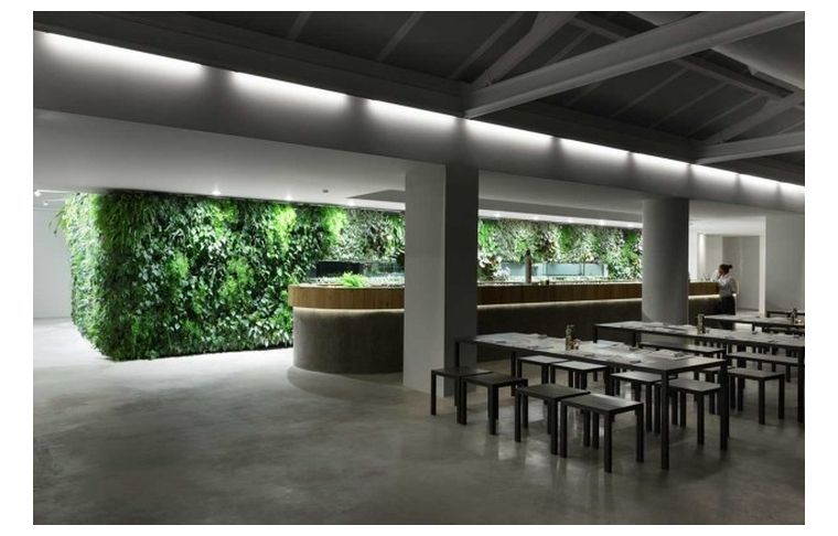 壁-植物-インテリア-モダン-デザイン-アイデア-垂直-庭-デザイン