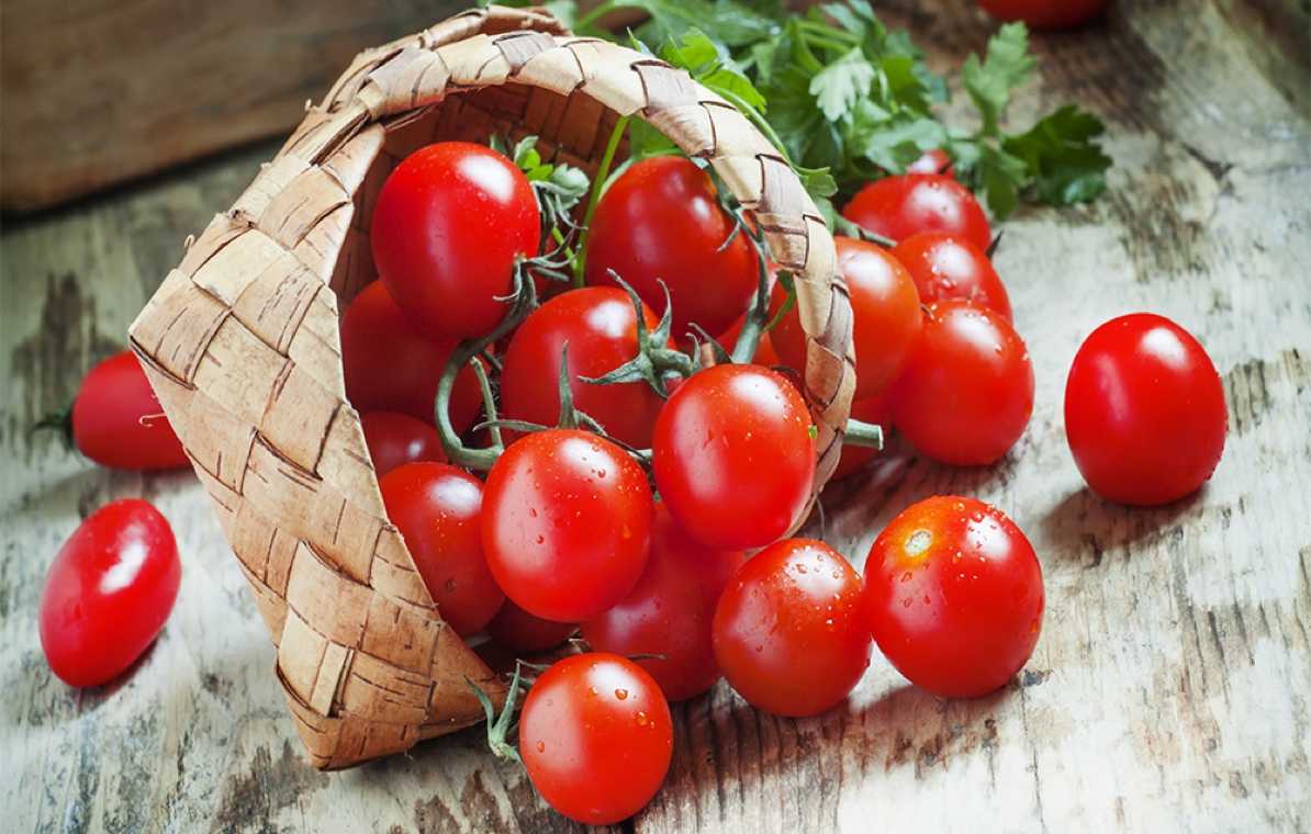 raudoni sodo pomidorai