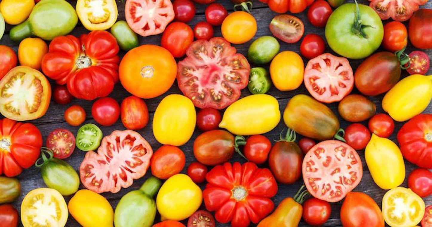 pomidorai-skirtingų dydžių ir spalvų