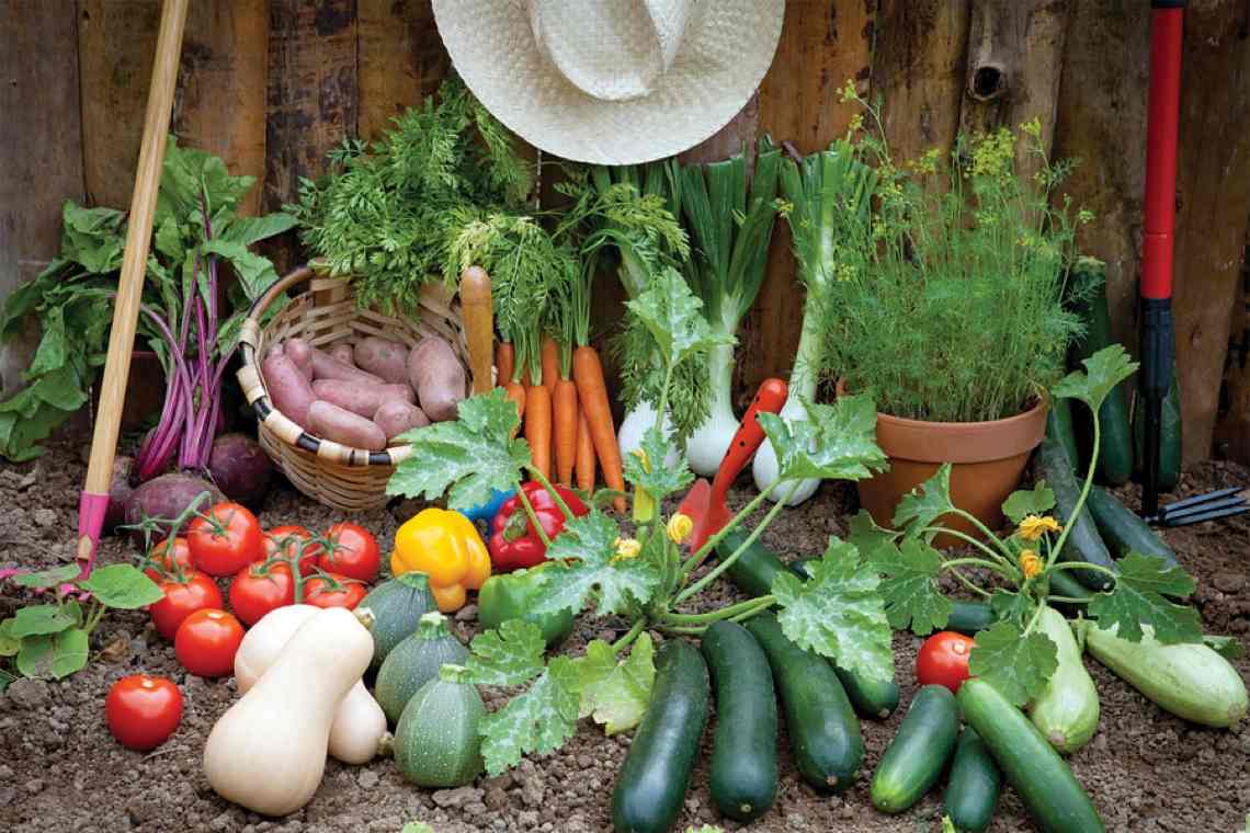 könnyen termeszthető zöldségek