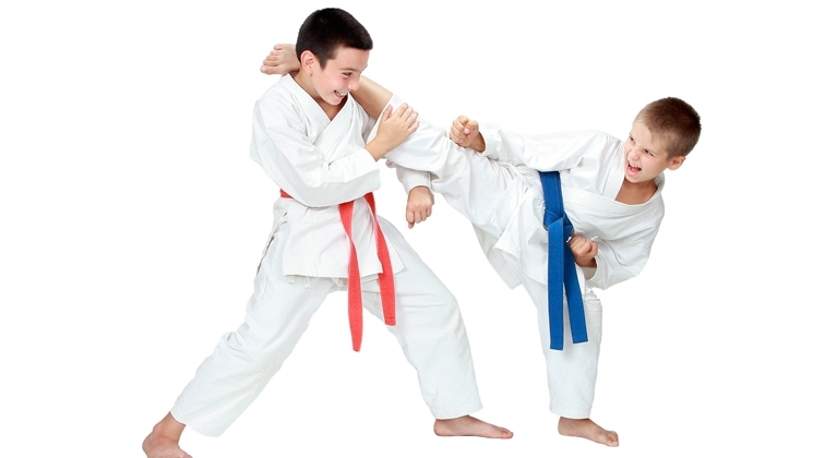 vaikai-daro-taekwondo