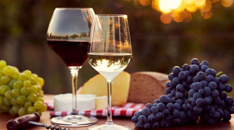 Moldovos vyno istorijos vynmedžiai