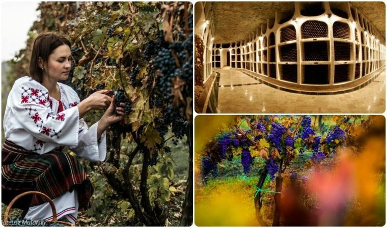 Collage fotografico della storia del vino della Moldavia