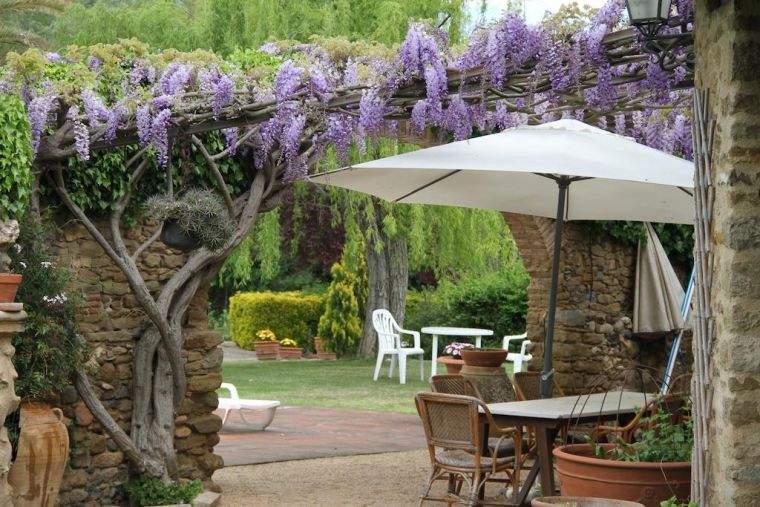 wisteria-deco-jardin-wisteria-laipiojimo-augalų-tvora