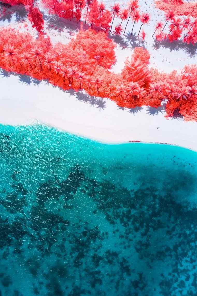 Paolo Pettigiani fotografa l'infrarosso delle Maldive