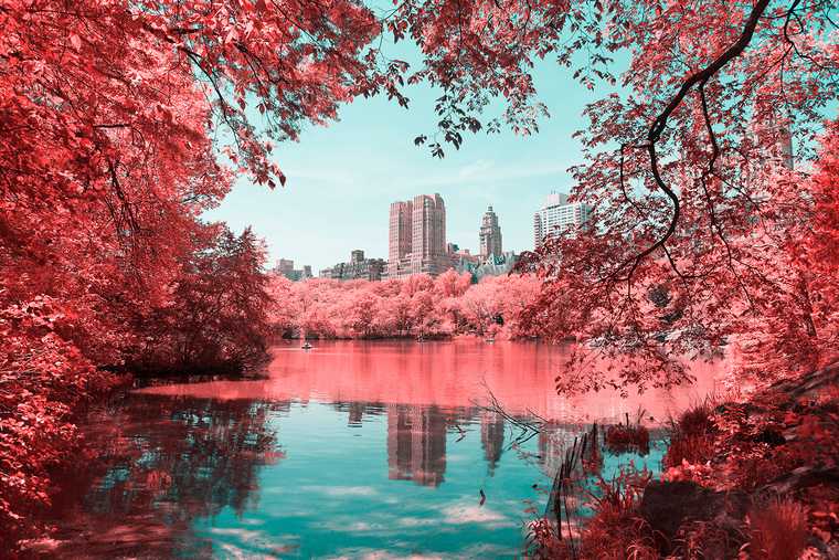 Paolo Pettigiani di Central park New York infrarossi