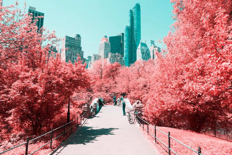 Paolo Pettigiani New York Central Park foto infrarossi